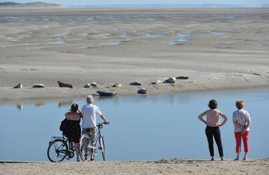 Hamac Chic Vue Mer. Berck المظهر الخارجي الصورة